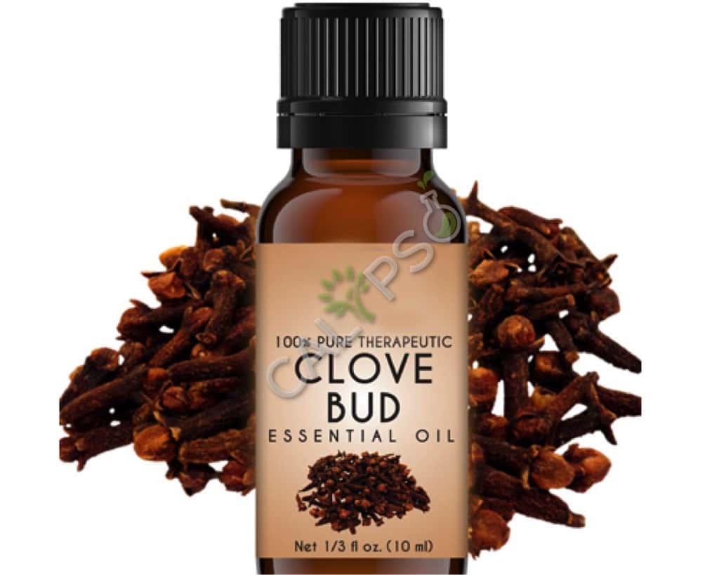 Clove Bud Spice Oil